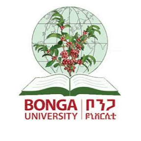 Bonga University Logo