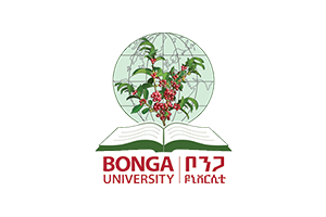 Bonga University